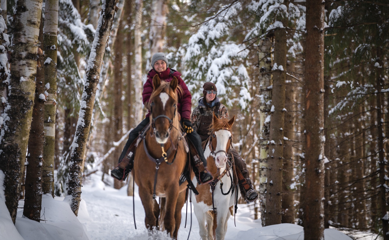 Montagnards cheval hiver